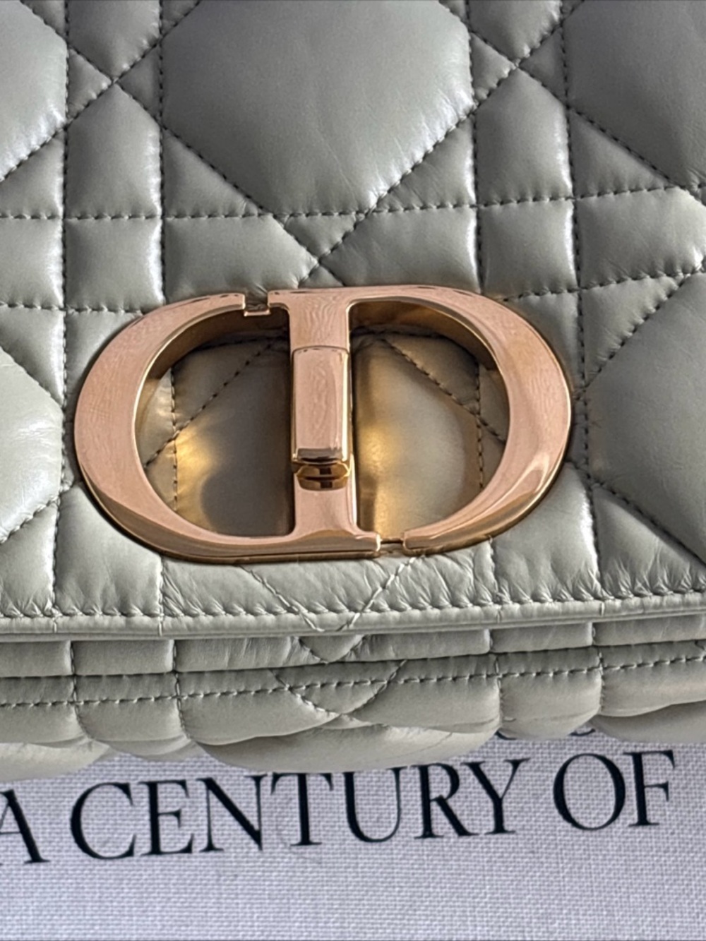 Dior Quilted Crossbody medium Bag in Sage Green with Gold CD Accent - Picture 8 of 13